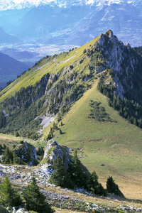 高峰和高山草甸