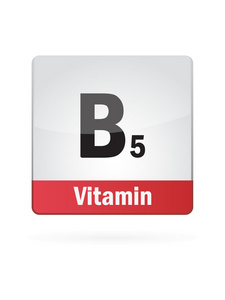 白色背景上的维生素 b5 符号图图标