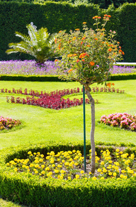 花卉园林绿化图片