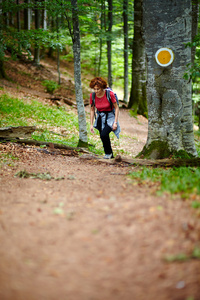 女游客在山的森林里徒步旅行