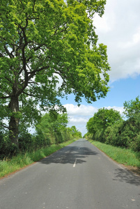 道路