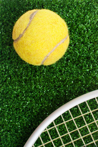 网球在草地上