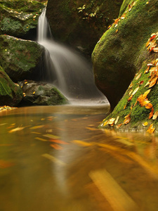 级联的小山涧，水运行在长满青苔的砂岩巨石和气泡创建水平乳白色的水。五颜六色的叶子槭树或一棵白杨树上的石头，入水