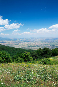 山风景