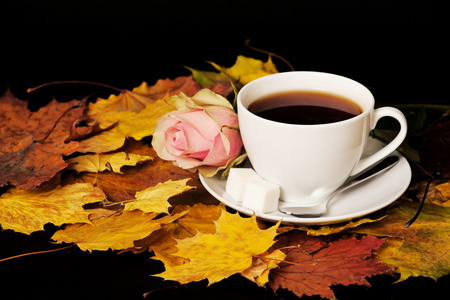 白杯茶，红玫瑰和枫树的叶