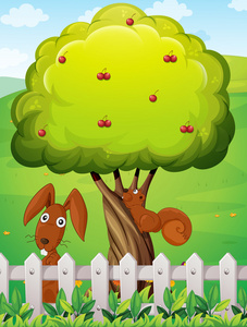 一只兔子和一只松鼠在樱桃树下玩耍