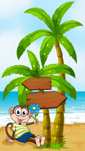 带着微笑的猴子坐在木制的 arrowboar 下的海滩