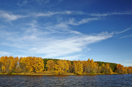 秋天的森林和湖泊在秋天的季节