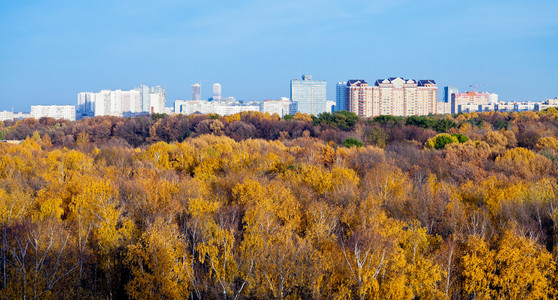 城市的全景视图的房子，秋天的树木