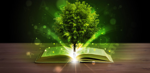 神奇的绿树和光线一起打开的书图片