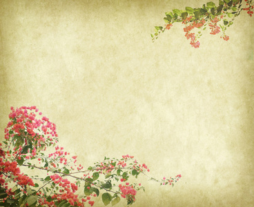 簕杜鹃花朵旧墙纸背景图片