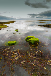 kimmeridge 湾