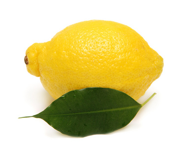 柠檬和叶