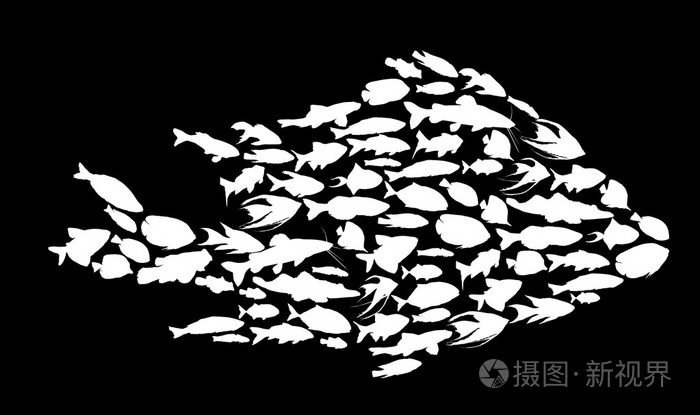 复杂的白色鱼剪影