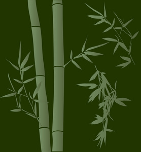 绿色背景的竹枝