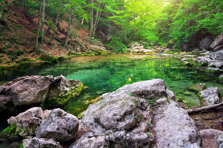 山区河流在森林和山的地形