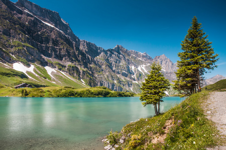 英格堡，中央瑞士瑞士的阿尔卑斯山，truebsee 湖畔的徒步旅行