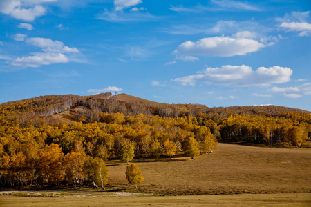 草原秋天的景色图片