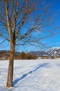 高山滑雪度假村 strobl 奥地利