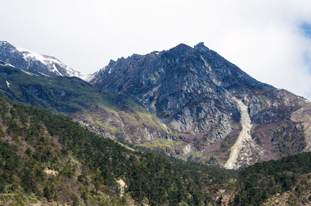 印度锡金北部的 chopta 谷