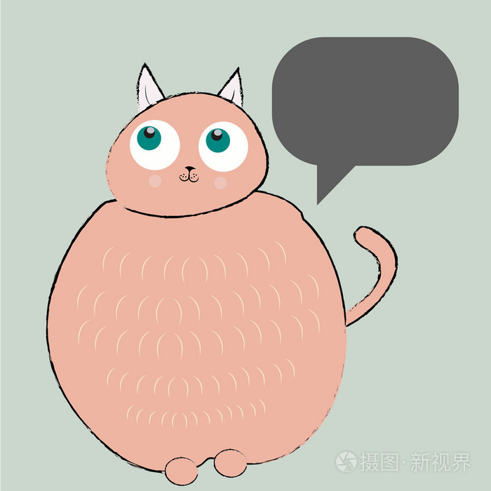 哲学家猫