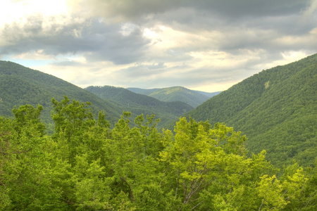 山风景