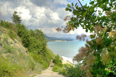 黑海海岸