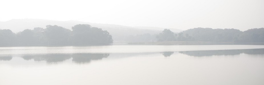 全景图的湖泊和雾中的树图片