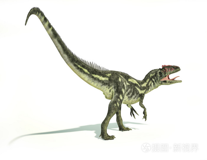 异特龙dinosaurus,逼真的代表性,动态婆照片-正版商用图片1dvbb9-摄图