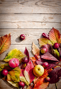 秋天的落叶和苹果纹理