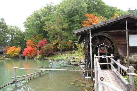 秋天的彩色的树木飞驒民俗村高山日本