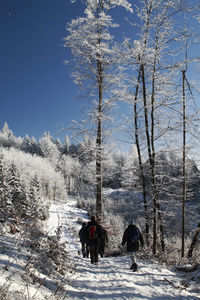 步行穿过冬季森林