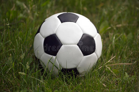 在高高的草地上踢球的黑白球特写镜头