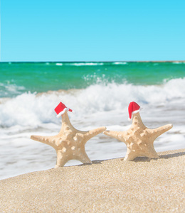 海星星夫妇在沙滩散步在海上的圣诞老人的帽子