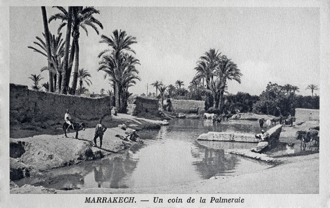旧明信片的棕榈的一个角落，马拉喀什