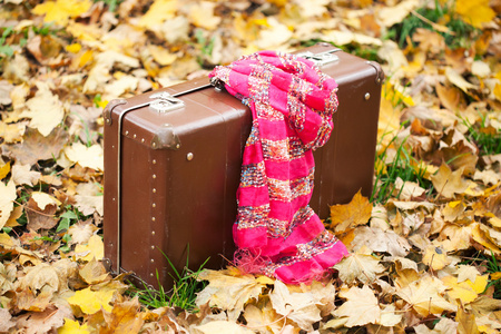 老式手提箱用粉色围巾在片秋色的公园