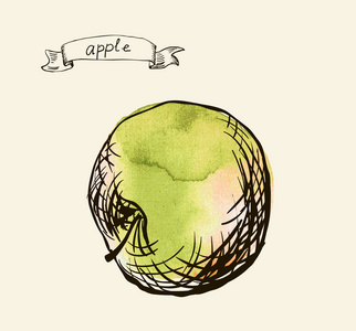 水彩手绘复古插画的苹果