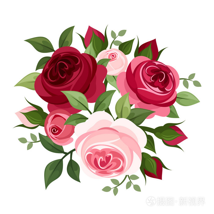 红色和粉色玫瑰.矢量插画