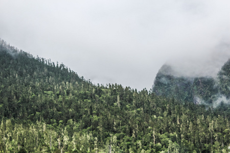 风景优美，景观与山