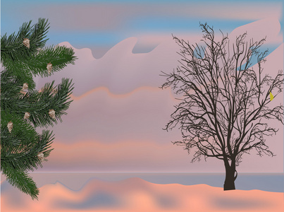 冬季树木在夕阳图