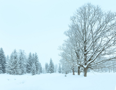 冬山雾降雪风景