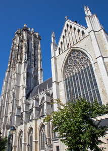 梅赫伦圣伯尔大教堂从南 2013 年 9 月 4 日在比利时梅赫伦