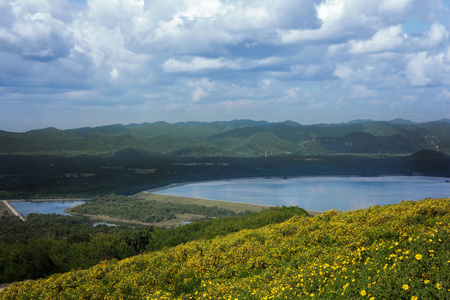 水库流域与花在前景，南邦泰