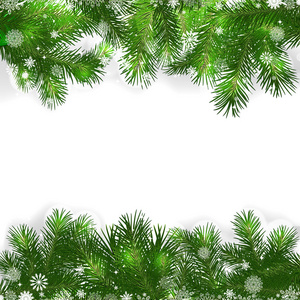绿枝扦插的圣诞树圣诞背景