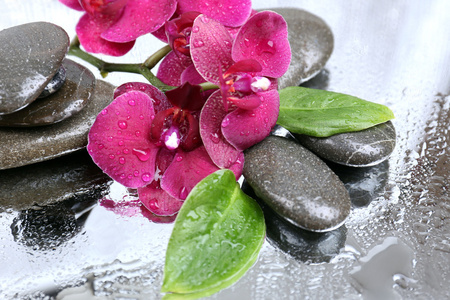 组成与美丽盛开的兰花，水滴和 spa 的石头，在浅色背景上