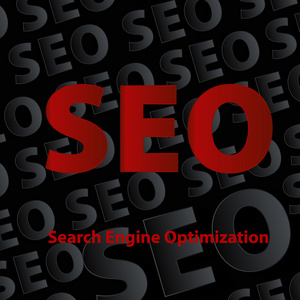 seo 搜索引擎优化背景