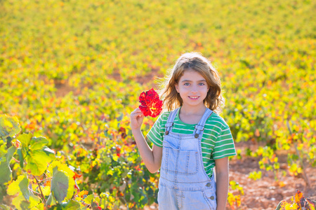 孩子们在秋天葡萄园田间持手红色叶的女孩