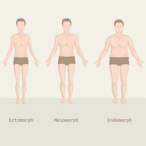 人的身体类型，从健身之前, 和之后的脂肪