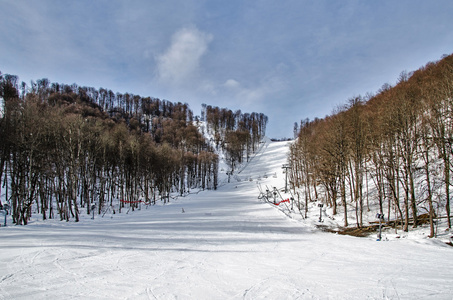 奥林匹克滑雪小道罗莎  金