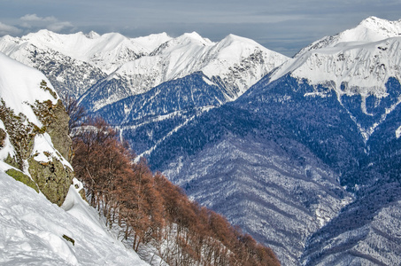 奥林匹克滑雪小道罗莎  金